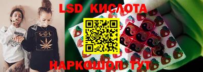 гидра Краснокаменск