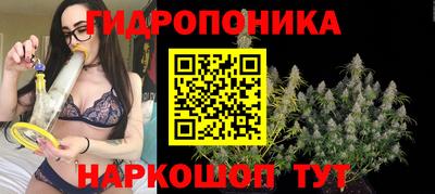 гидра Краснокаменск