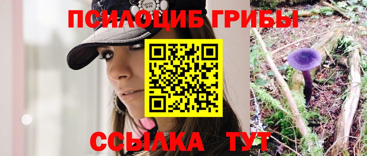 Избербаш  наркотики  Псилоцибиновые грибы Magic Shrooms  Вход с VPN  Псилоцибиновые грибы Cubensis 